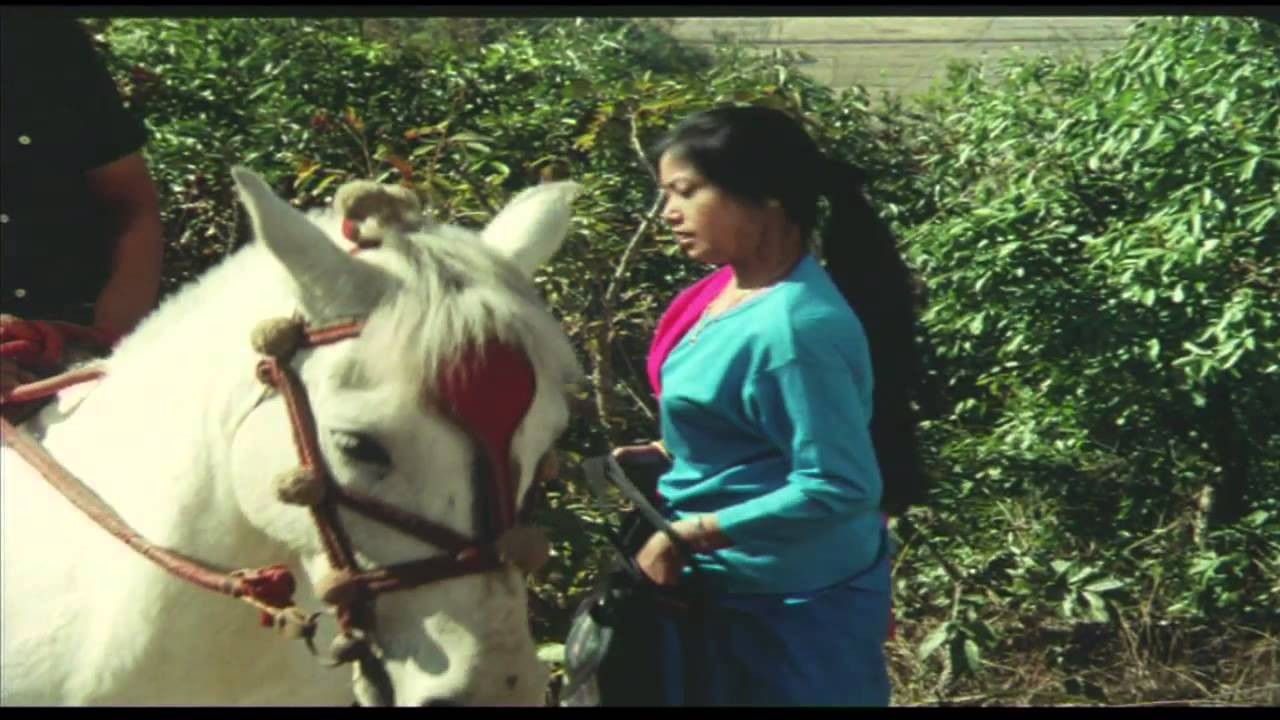 Sakhi is a divorced woman who is a dancer at the State Dance Academy. One day, a thief falls in love with her after seeing her performance and in order to gain her attention he steals her horse.